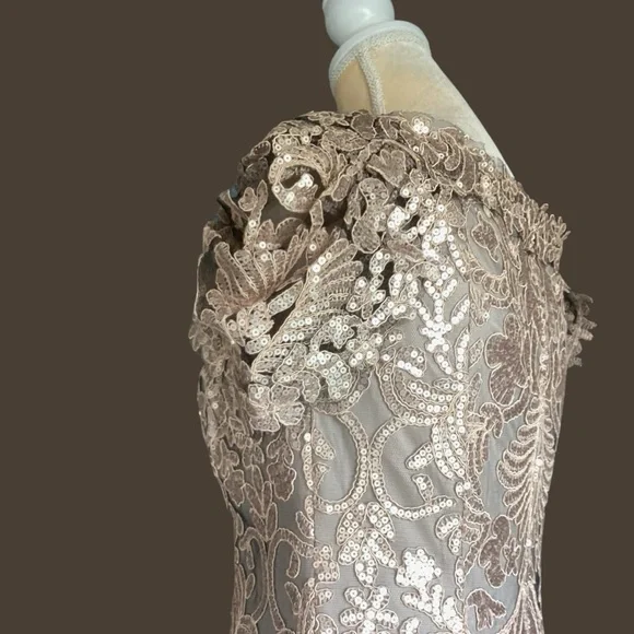 Tadashi Shoji Gown Size 8 Tan/Gold Lace Lined Cap Sleeve Wedding Formal Event